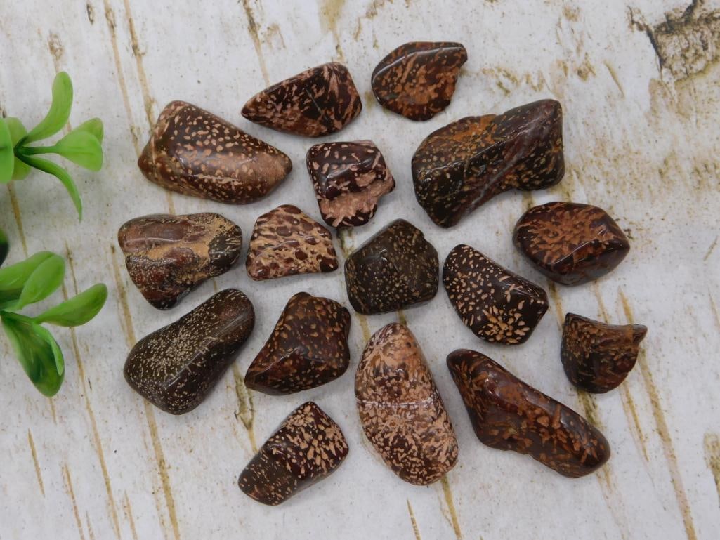 Jasper Tumbled Stone Lot: Assorted brown and cream speckled jasper tumbled gemstones.
