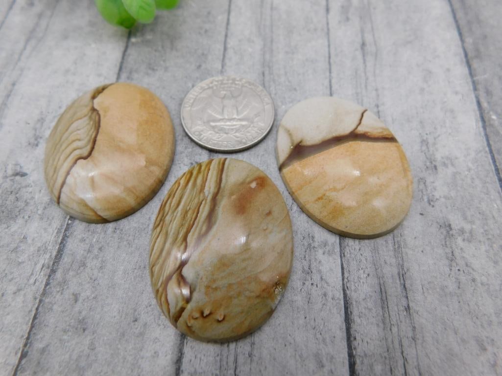 Picture Jasper Cabochon Stones (Set of 3): Three polished oval picture jasper cabochons with earth-toned banded patterns.
