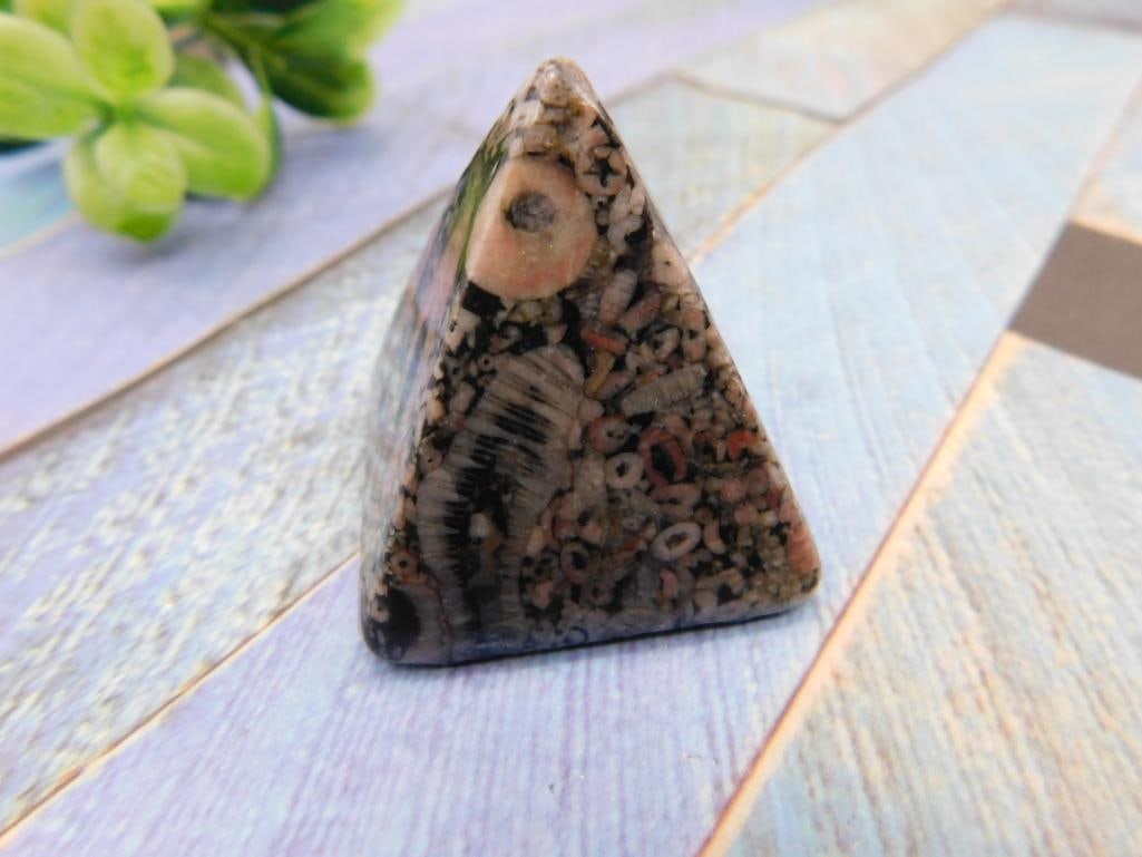 Fossil Coral Pyramid Paperweight: Polished pyramid-shaped fossil coral/agate paperweight showing natural fossilized coral patterns.