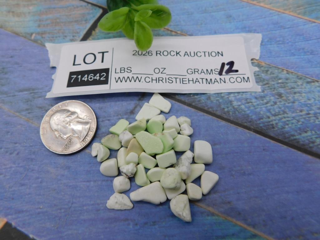 Loose Howlite/Turquoise Chip Beads - 2