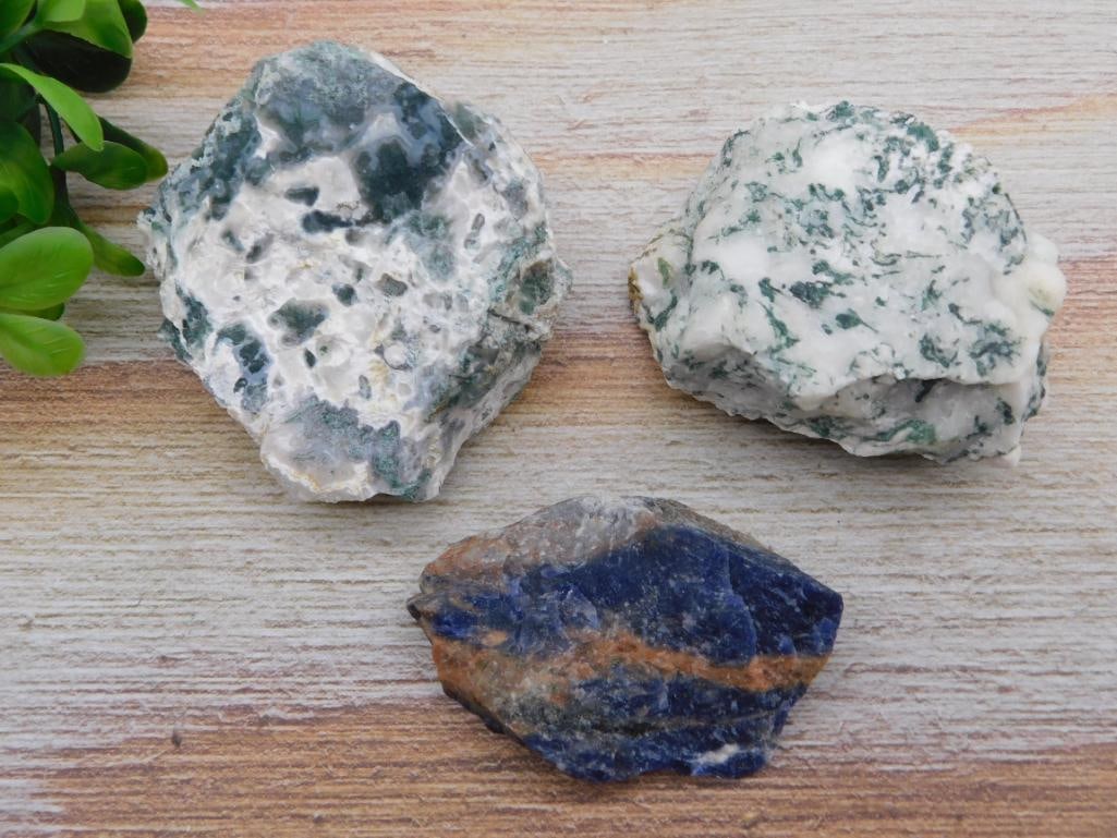 TREE AGATE ROCK STONE LAPIDARY SPECIMEN - 2
