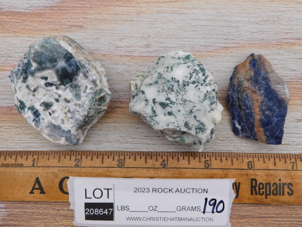 TREE AGATE ROCK STONE LAPIDARY SPECIMEN - 3