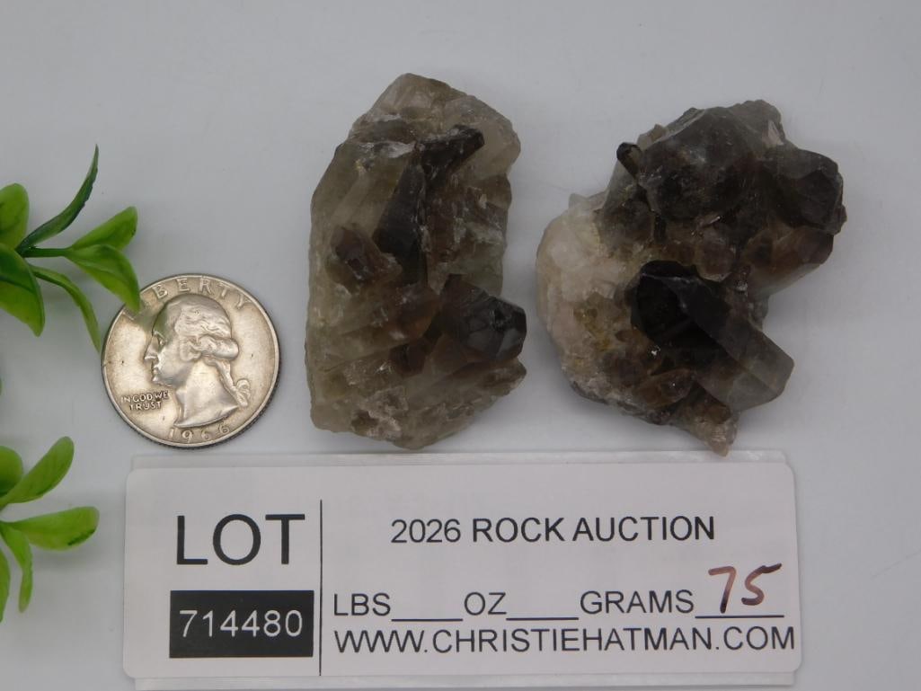 Smoky Quartz Crystal Cluster Pair - 2
