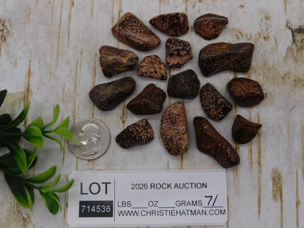 Jasper Tumbled Stone Lot - 2