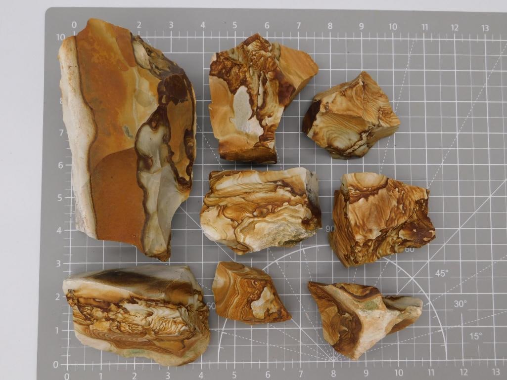 Rock - Banded Agate/Jasper Rough Slab Lot: Lot of nine rough-cut agate or jasper slabs displaying rich caramel, ochre, and cream banding with druzy pockets. Pieces range from roughly 2 to 8 inches, weighing 6 lbs 1 oz total; photographed on a