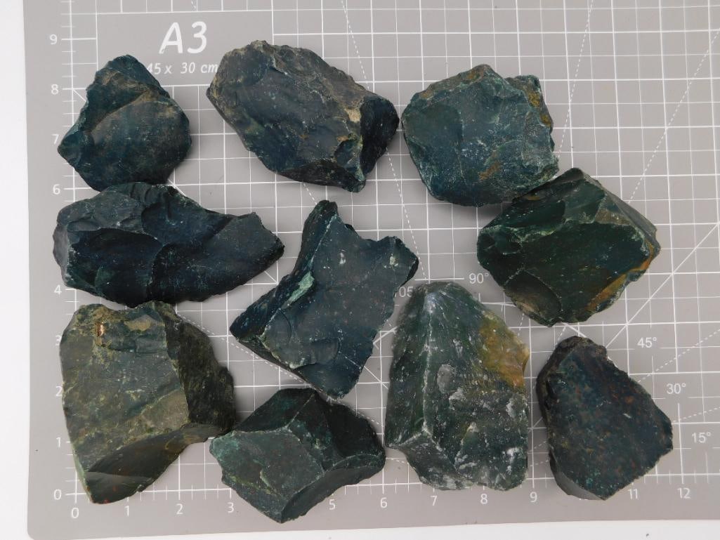 Rock Bloodstone Heliotrope Rough Specimen Lot: A lot of ten rough bloodstone (heliotrope) chunks in dark green with red jasper flecking, showing natural fracture faces with a glassy, semi-translucent luster. Pieces range roughly 2 to 4 inches, pho