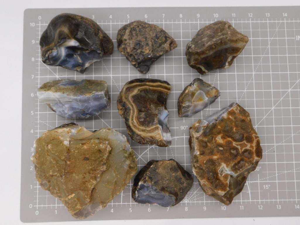Rock Banded Agate Rough Specimen Lot: A lot of nine rough agate nodules and slabs showing banded fortification patterns, gray chalcedony centers, and brown iron-stained exteriors; one piece displays a pronounced honeycomb/turtleback patte