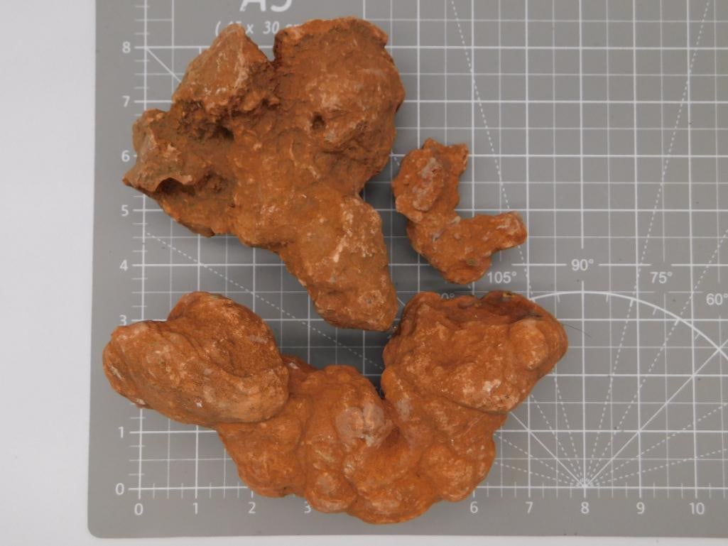 Mineral Hematite Iron Oxide Botryoidal Specimen Lot: A lot of reddish-brown botryoidal (grape-cluster) iron oxide/limonite mineral specimens with a rough, nodular kidney-ore surface texture. The largest piece measures roughly 6 inches across, shown on a