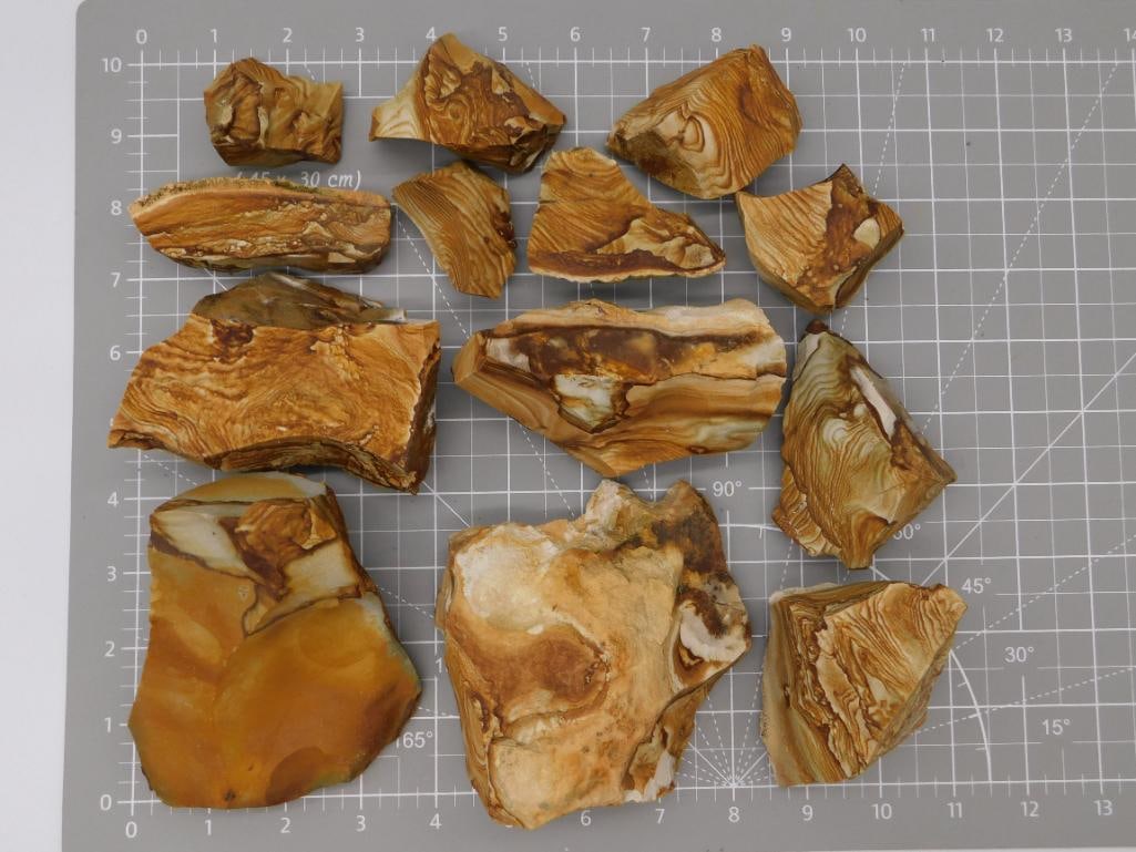 Rock Banded Plume Agate Rough Specimen Lot: A lot of thirteen rough banded agate slabs and chunks in warm honey, tan, and brown tones showing striking parallel banding and plume-like patterning, reminiscent of Montana bacon agate. Pieces range 