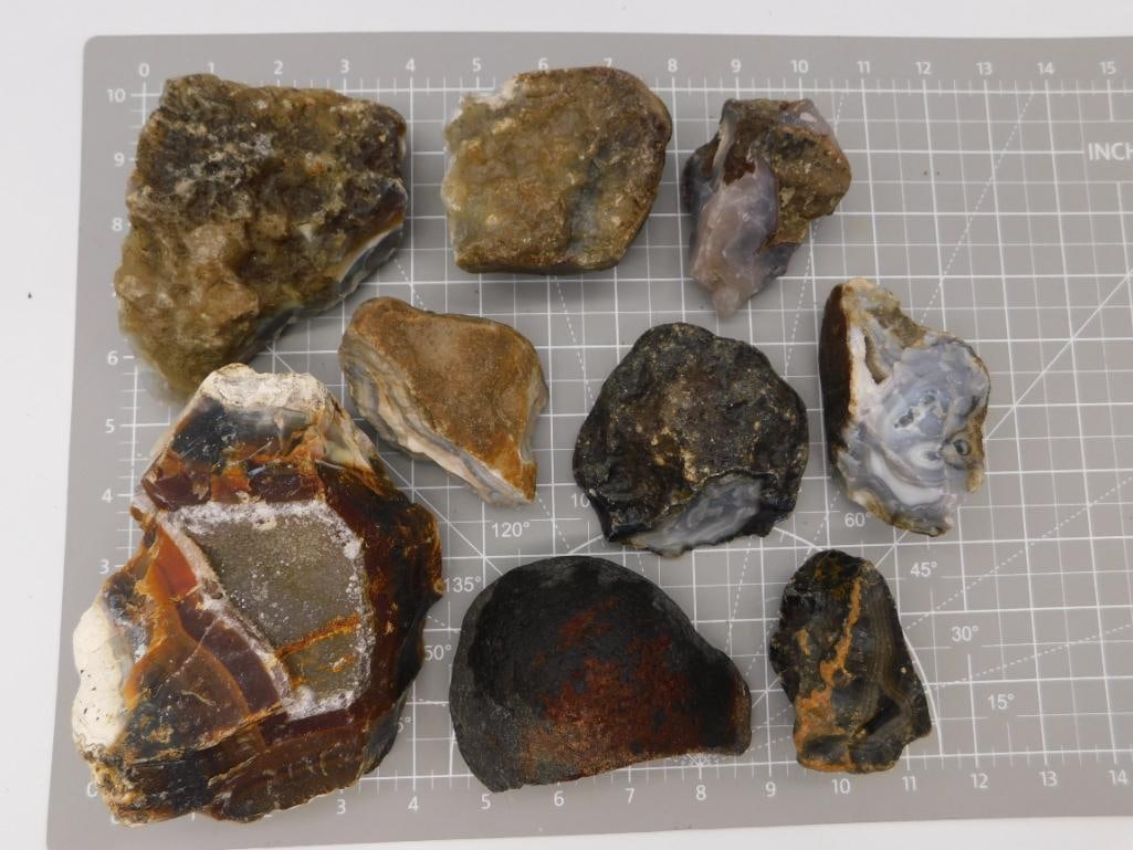 Rock and Agate Specimen Lot, 7 lbs 14 oz: A mixed lot of eight rough mineral specimens including banded agate, jasper, and chalcedony nodules in earth tones of brown, tan, and gray with translucent blue-gray agate pockets visible in cut faces
