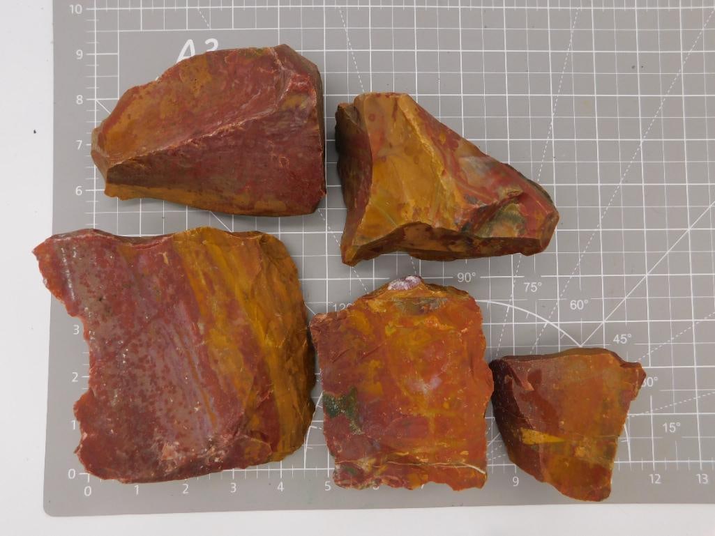 Red Jasper Rough Stone Lot, 6 lbs 7 oz: Five rough-cut chunks of red and gold jasper with deep maroon, rust, and ochre banding across polished cut faces. The pieces range from about 3 to 6 inches across and show natural weathered exteriors 