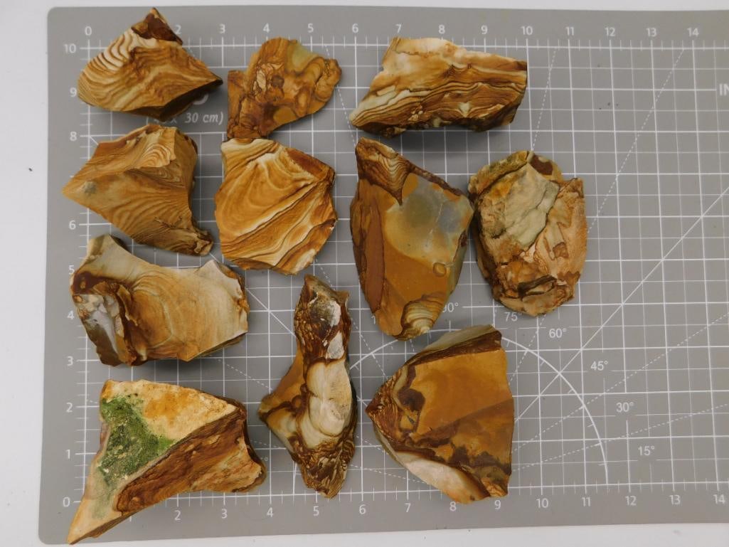Picture Jasper Slab Lot, 4 lbs 4 oz: Eleven rough and sawn slabs of picture jasper displaying dramatic swirling landscape-like banding in tan, brown, and cream. Pieces range from about 3 to 6 inches across with polished cut faces