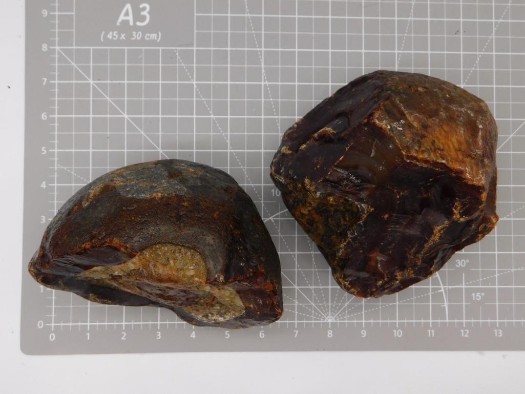 Rock - Petrified Wood Nodule Pair with Polished Cross-Section: Two rough rock nodules, one showing a polished agatized/petrified wood face with banded amber and reddish-brown coloring. Measures roughly 4-6 inches shown on a ruled cutting mat. Total weight