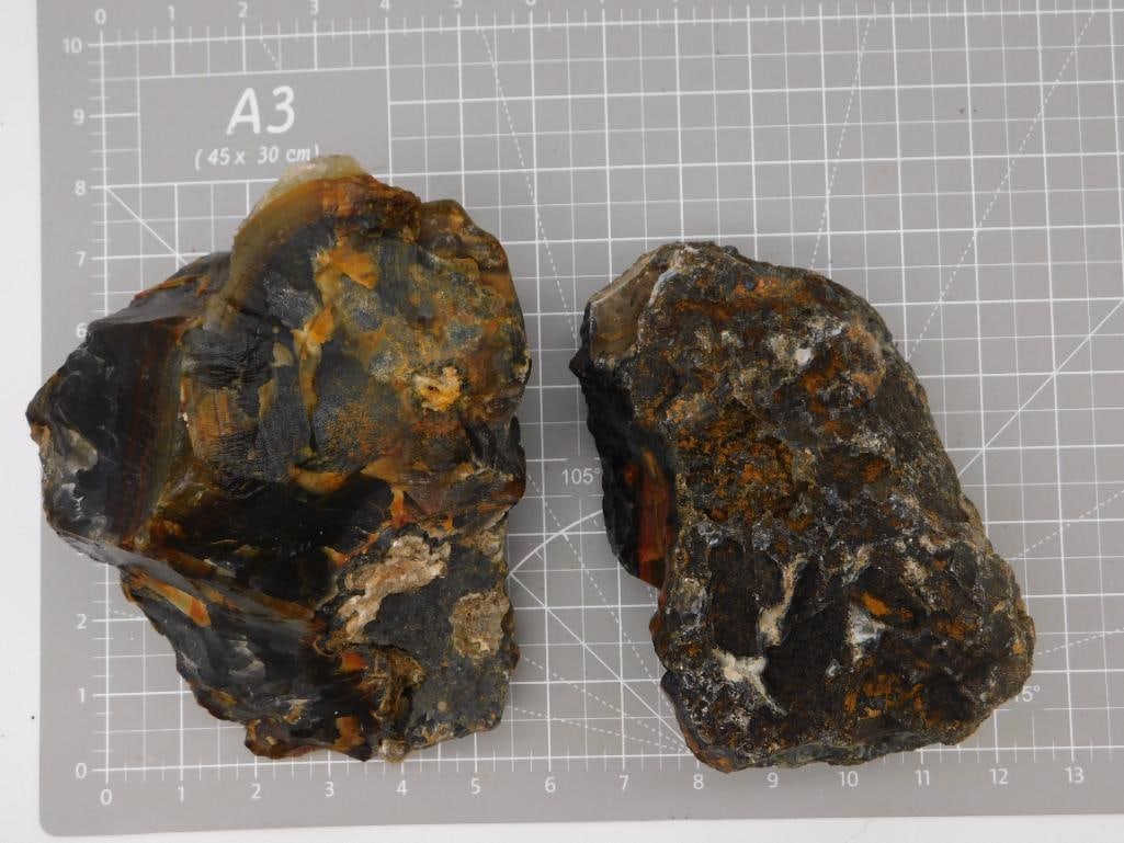 Agate Nodule Specimen Pair: Two large rough agate/jasper nodules with dark banded exteriors and orange-red translucent interior pockets visible in cross-section, shown on a ruled cutting mat. Total weight labeled 9 lbs 9 oz 7