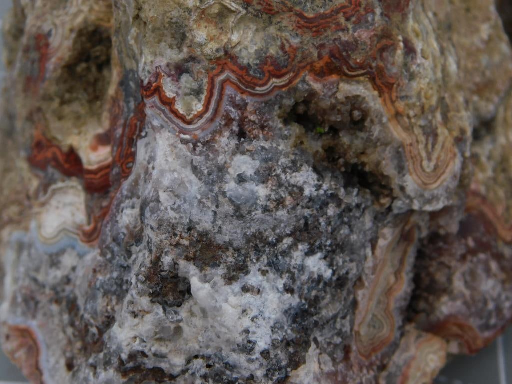 Crazy Lace Agate Rough Specimen Lot - 2