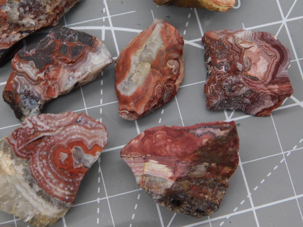Crazy Lace Agate Rough Specimen Lot - 3