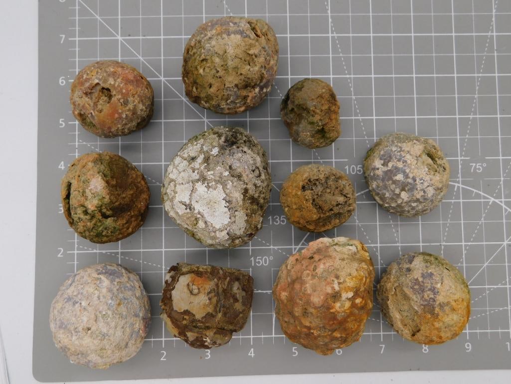 Thunder Egg Geode Nodule Lot: Group of twelve rounded rough geode/thunder egg nodules with weathered exteriors in tan, gray, and rust tones, shown on a ruled cutting mat. Total weight labeled 2 lbs 15 oz 1 gram. Part of the 2026