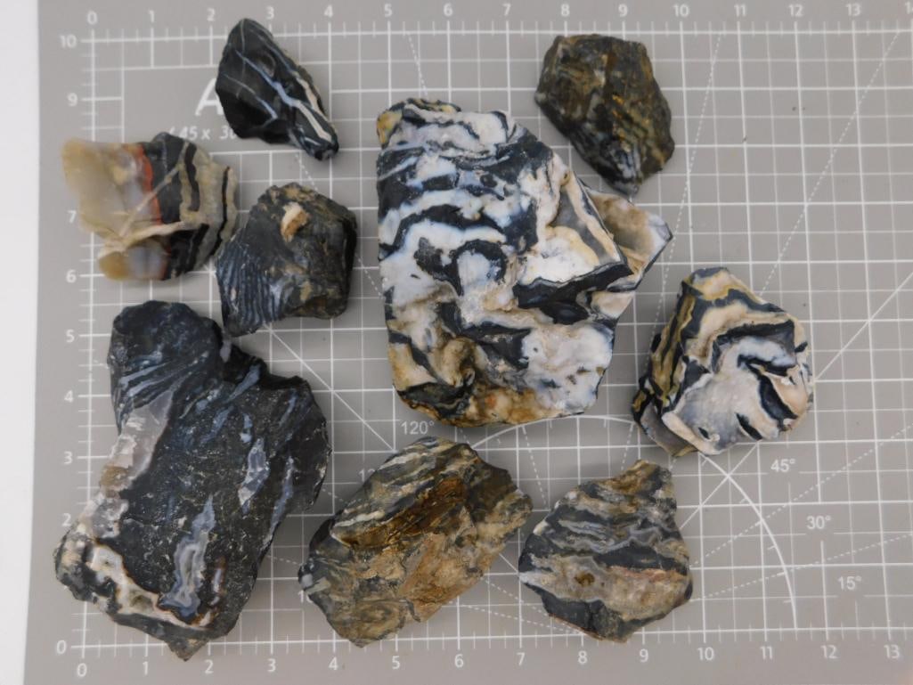 Banded Agate Rough Specimen Lot: Nine rough banded agate/jasper specimens with striking black, white, and cream zigzag banding patterns, shown on a ruled cutting mat. Total weight labeled 5 lbs 13 oz 9 grams. Part of the 2026 Rock