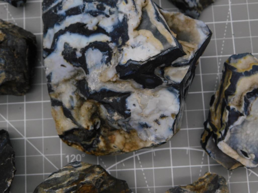 Banded Agate Rough Specimen Lot - 2