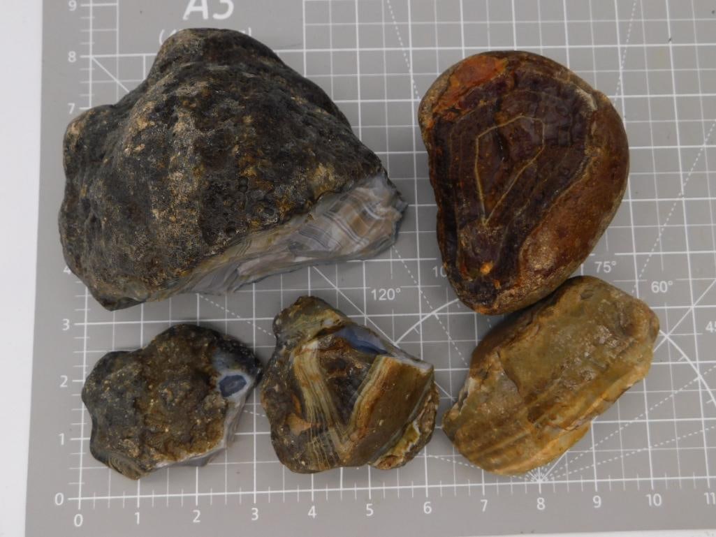 Agate Nodule Rough Specimen Lot: Five rough agate/jasper nodules including one large banded gray specimen and several smaller reddish-brown pieces, shown on a ruled cutting mat. Total weight labeled 7 lbs 8 oz 8 grams. Part of the 20