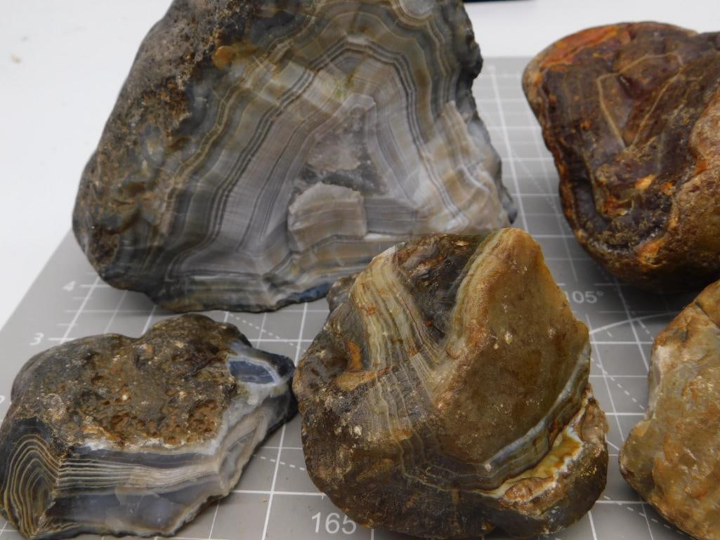 Agate Nodule Rough Specimen Lot - 2