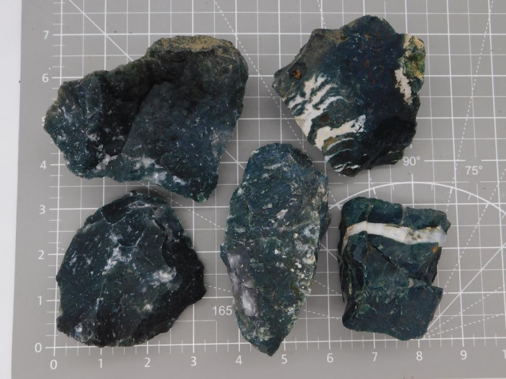 Bloodstone Rough Specimen Lot: Five rough dark green bloodstone/moss agate specimens with white mineral veining, largest piece roughly 4 inches, shown on a ruled cutting mat. Total weight labeled 2 lbs 14 oz 6 grams. Part of the