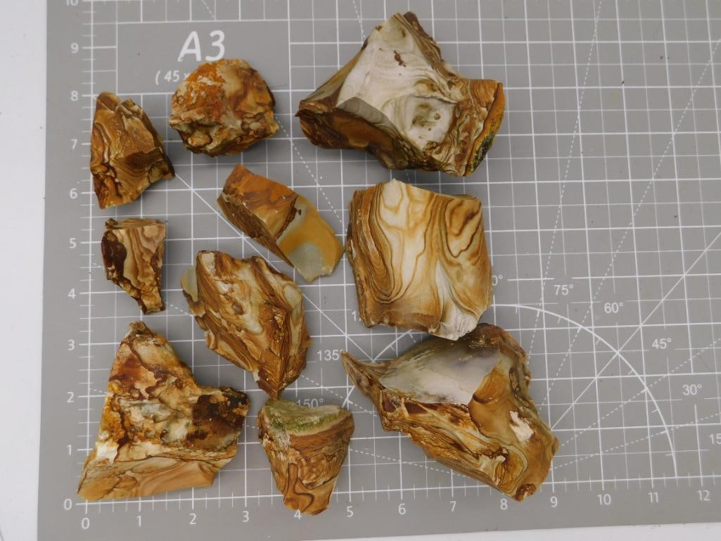 Banded Agate Rough Specimen Lot: Ten rough banded agate/petrified wood specimens in warm tan, brown, and cream tones with flowing wood-grain patterns, shown on a ruled cutting mat. Total weight labeled 2 lbs 13 oz 10 grams. Part of