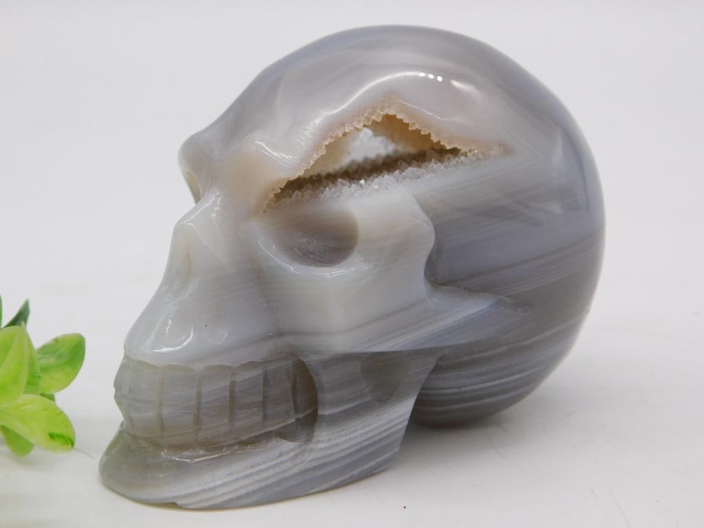 Carved Agate Crystal Skull Rock Specimen, 254 Grams: Natural banded gray and white agate carved into a human skull form with a druzy crystal-lined cavity exposed at the back/top of the skull. Weighs 254 grams per the lot tag, with a US quarter shown for