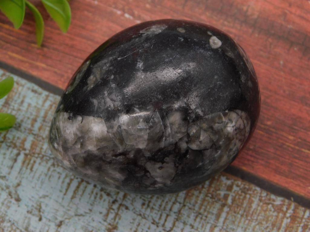 Polished Black Labradorite Palm Stone: Smooth polished black labradorite/larvikite tumbled palm stone with gray flash and crystalline mineral inclusions visible on one face. Photographed on a weathered wood-look surface with a 1966 quarter