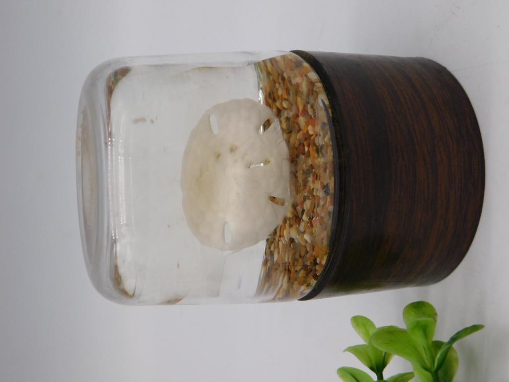 Nature Gems Sand Dollar Embedment Paperweight/Jar: A "Nature Gems" branded educational glass jar embedment featuring a natural sand dollar suspended in clear resin over a bed of multicolored tumbled stone chips, with a faux wood-grain plastic base