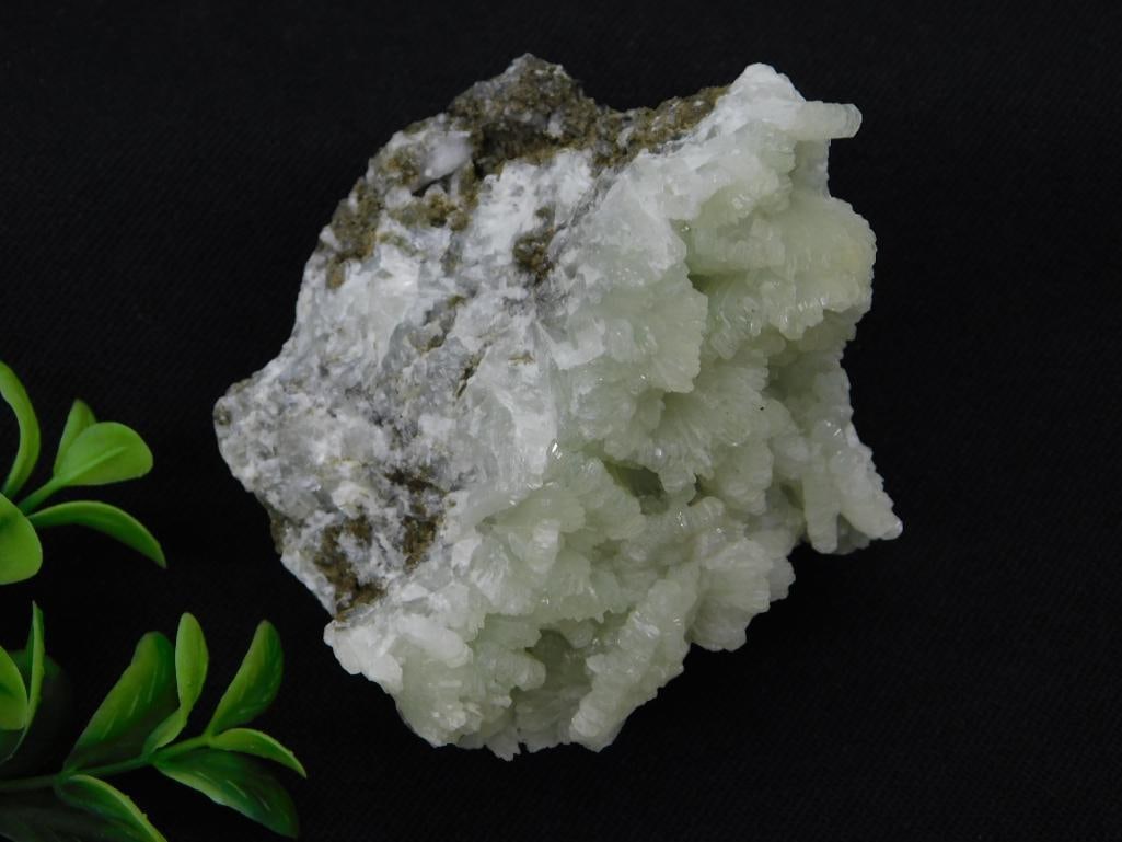 Zeolite Mineral Specimen with Radiating Crystal Clusters: A natural mineral specimen showing dense, radiating fan-shaped white-to-pale-green crystal clusters (consistent with zeolite/apophyllite or similar) emerging from a grayish host rock matrix with darke