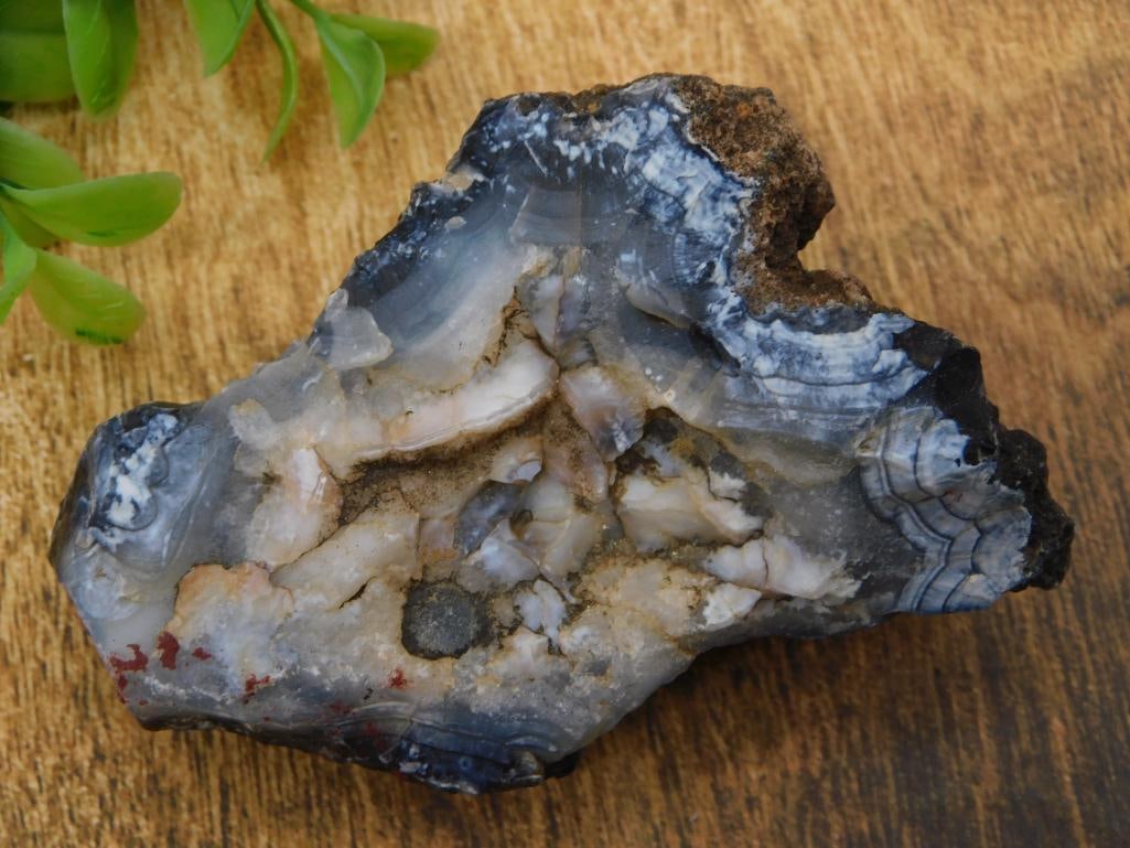 Rock Specimen - Blue and White Banded Agate: A natural blue-gray and white banded agate rock specimen with translucent quartz crystal center and reddish mineral staining. Measures roughly 4 inches across, shown with a quarter for scale on a lot 