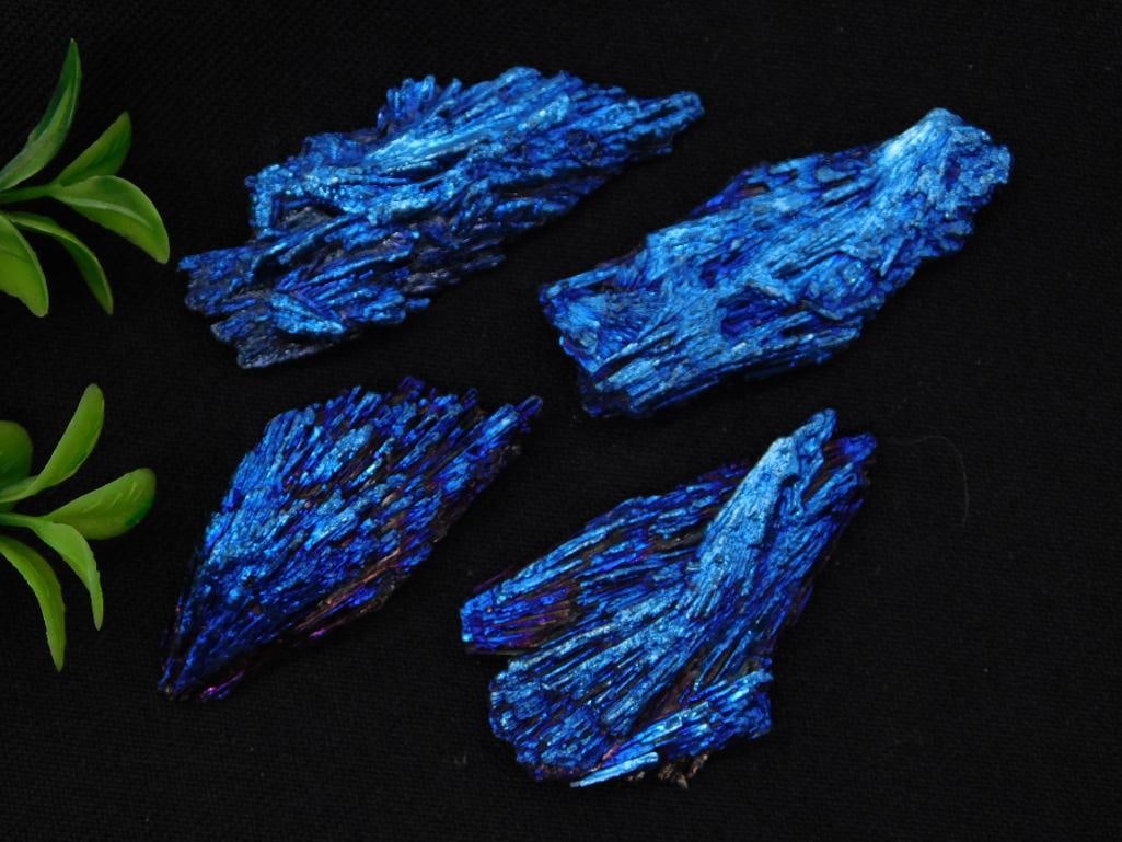 Mineral: Chalcopyrite Peacock Ore Crystal Cluster Specimens (Set of 4): Four natural chalcopyrite (peacock ore) mineral specimens displaying vivid iridescent blue and purple crystalline surfaces against a black backdrop. Total weight noted as 43 grams on the accompanying 