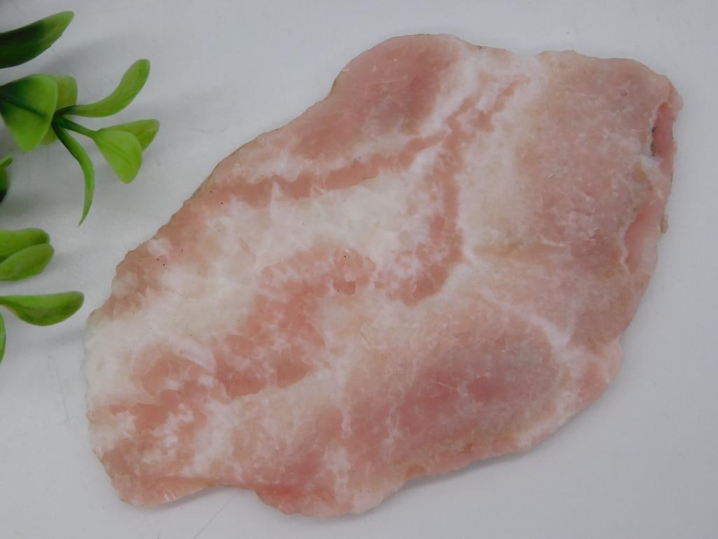 Rock: Pink and White Banded Mineral Slab (1 of 2)