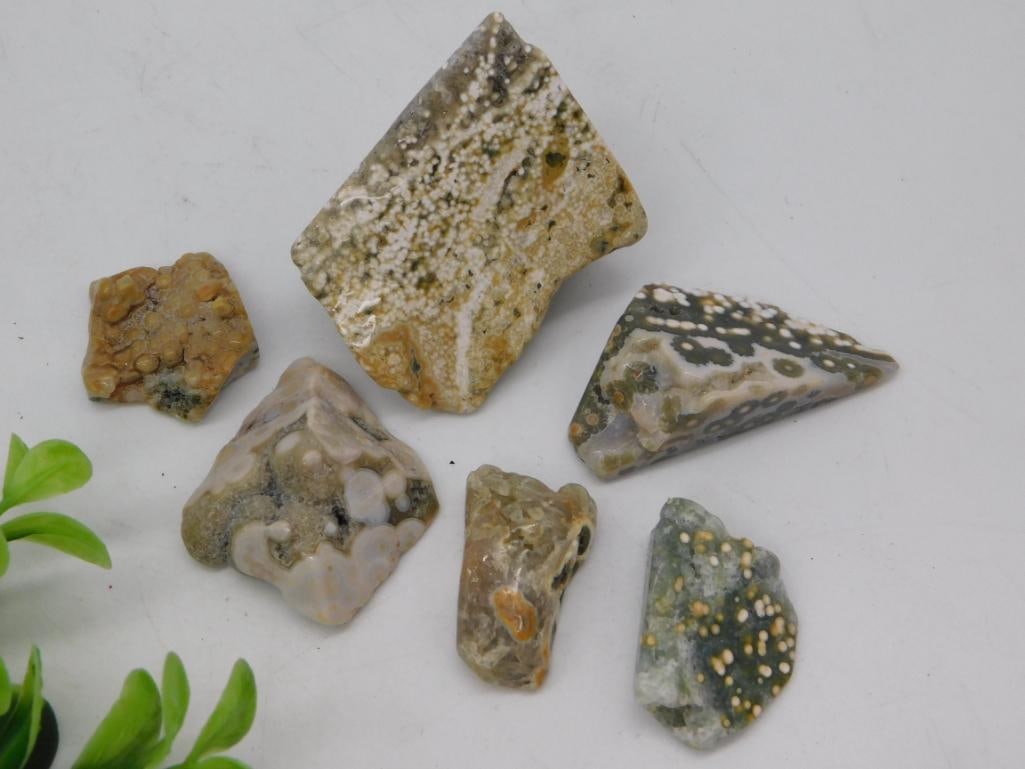 Rock and Mineral Specimen Lot - Polished Agate/Jasper Slices, 6 Pieces: A group of six small polished stone specimens including orbicular and banded agate/jasper pieces in tan, cream, olive, and rust tones with druzy and botryoidal textures. A US quarter is included for s