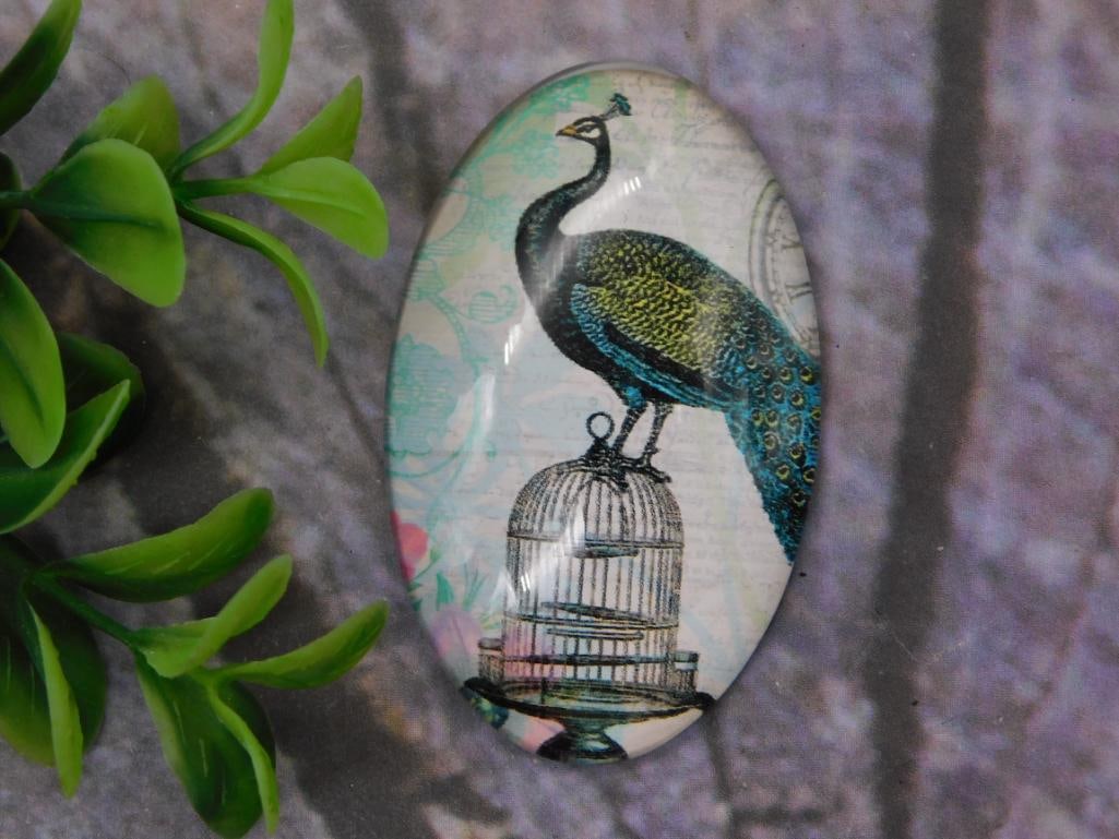 Peacock Cabochon Glass Jewelry Stone - Vintage Style Bird Design: An oval glass cabochon featuring a printed vintage-style illustration of a peacock perched on a birdcage over a decorative script background. Shown next to a Liberty quarter for scale, the cabochon