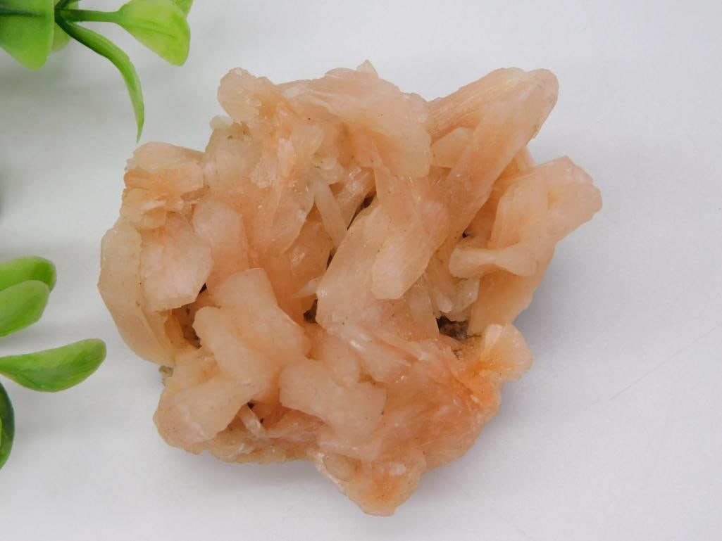 Mineral Specimen - Peach Stilbite Zeolite Crystal Cluster: A natural cluster of bladed, peach-colored stilbite (zeolite) crystals with a bowtie/sheaf-like formation, approximately 49 grams. A 1966 Washington quarter is shown alongside for scale, indicating a 
