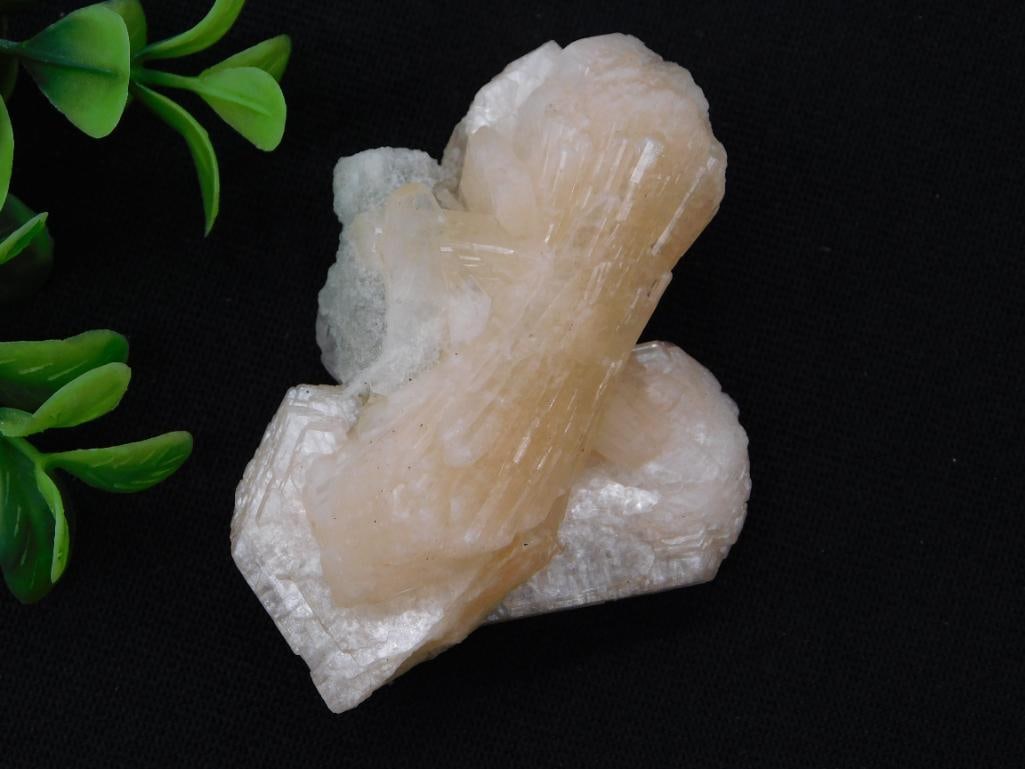 Natural Stilbite Mineral Crystal Cluster Specimen: Natural mineral specimen featuring peach/orange stilbite crystal sheaves in a classic 'bowtie' formation atop a matrix of white zeolite crystals. A 1966 Washington quarter is shown for scale, with the