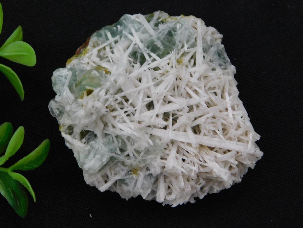 Natural Natrolite Needle Crystal Mineral Specimen: Natural mineral specimen displaying dense sprays of slender white natrolite needle crystals over a green zeolite matrix. A 1966 Washington quarter is shown for scale, with the original auction lot tag