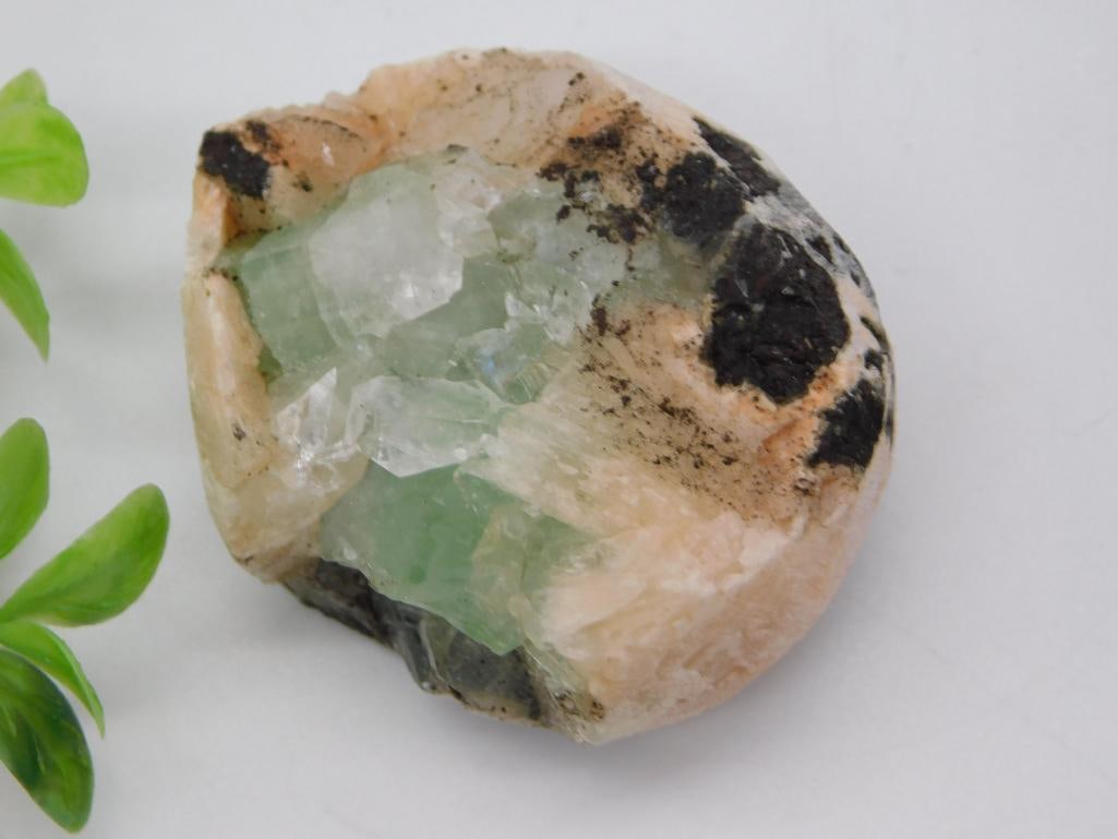 Green Fluorite Crystal Pocket Mineral Specimen: Natural mineral specimen with a hollow vug lined in pale green fluorite crystals, surrounded by tan/cream calcite matrix with dark manganese staining. Weighs 66 grams per the included lot tag, shown