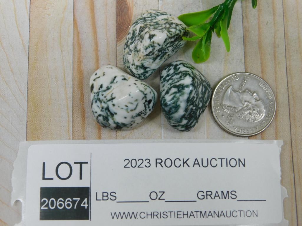 TREE AGATE ROCK STONE LAPIDARY SPECIMEN - 3