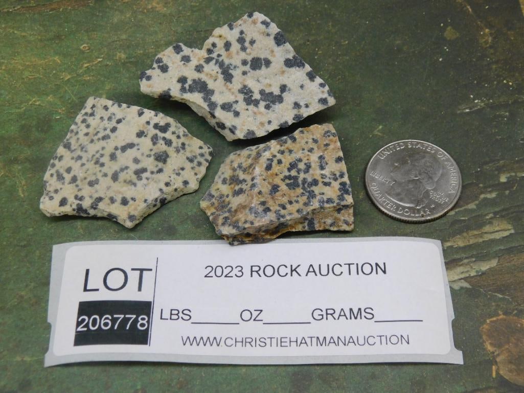 DALMATION JASPER ROCK STONE LAPIDARY SPECIMEN - 3