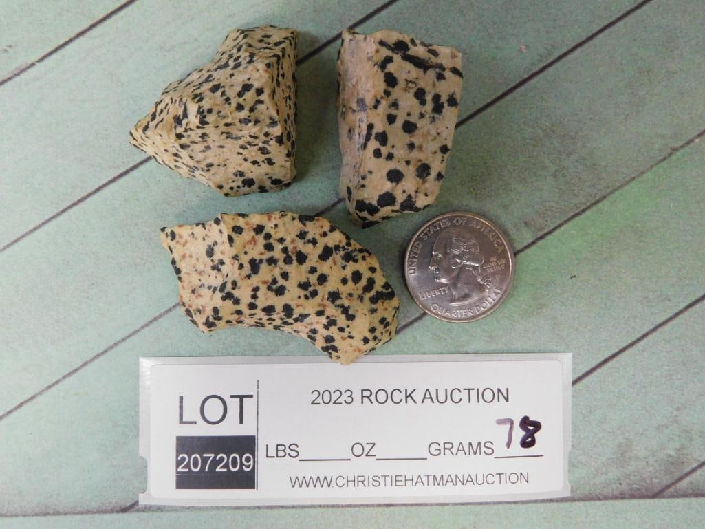 DALMATION JASPER ROCK STONE LAPIDARY SPECIMEN - 3