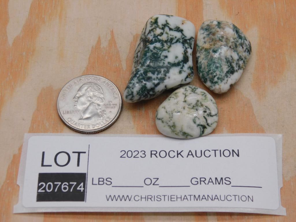 TREE AGATE ROCK STONE LAPIDARY SPECIMEN - 3
