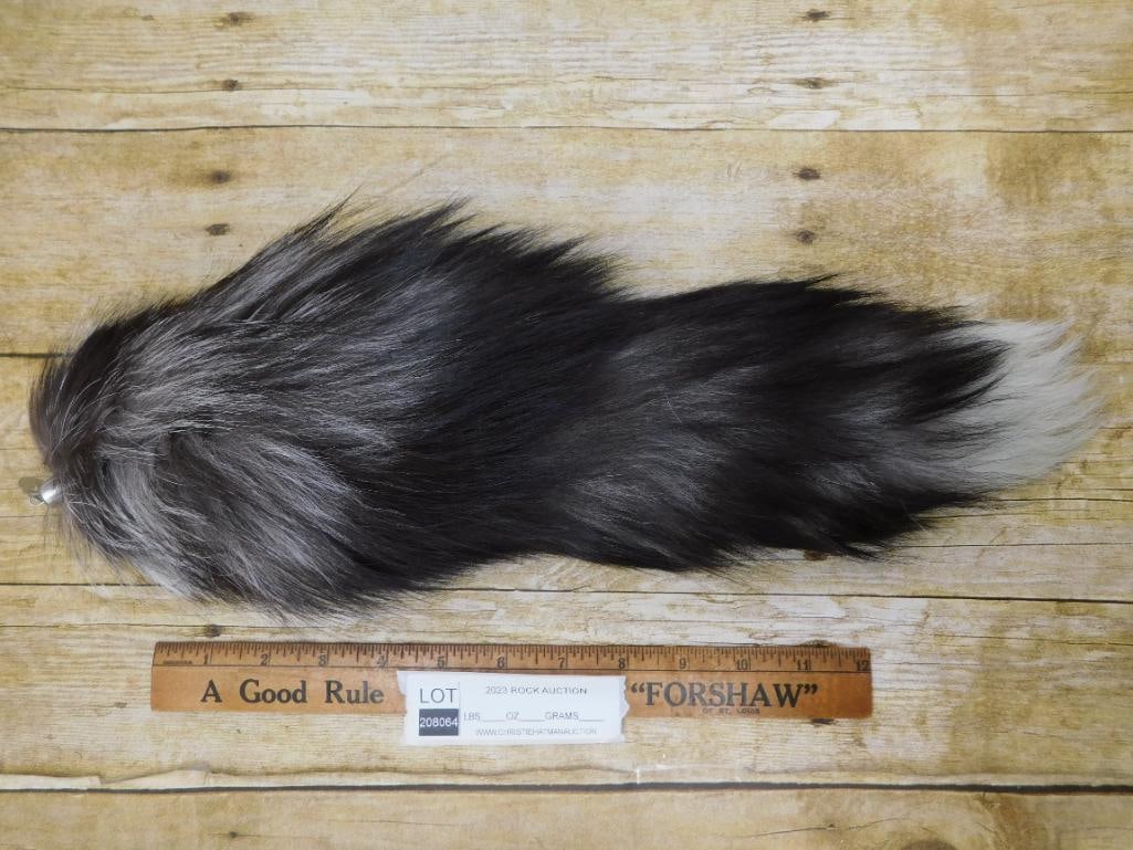 FOX TAIL TAXIDERMY - 2