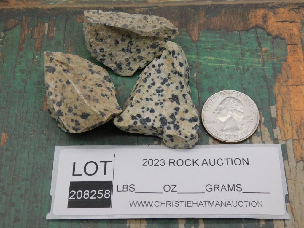 DALMATION JASPER ROCK STONE LAPIDARY SPECIMEN - 3