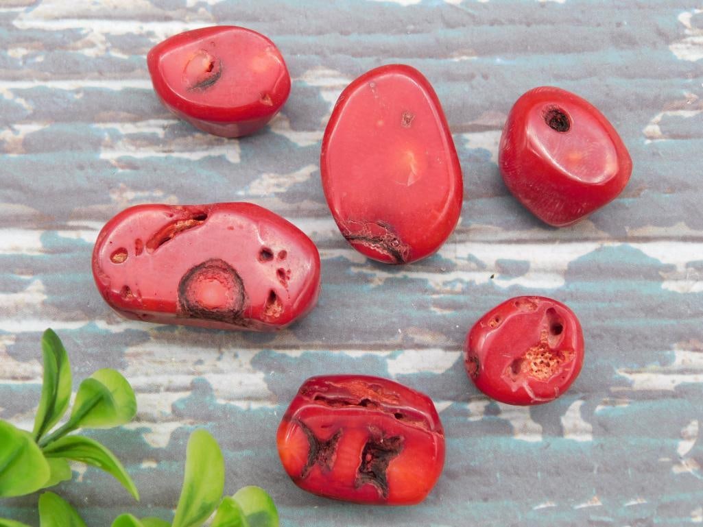 RED CORAL ROCK STONE LAPIDARY SPECIMEN: RED CORAL ROCK STONE LAPIDARY SPECIMEN