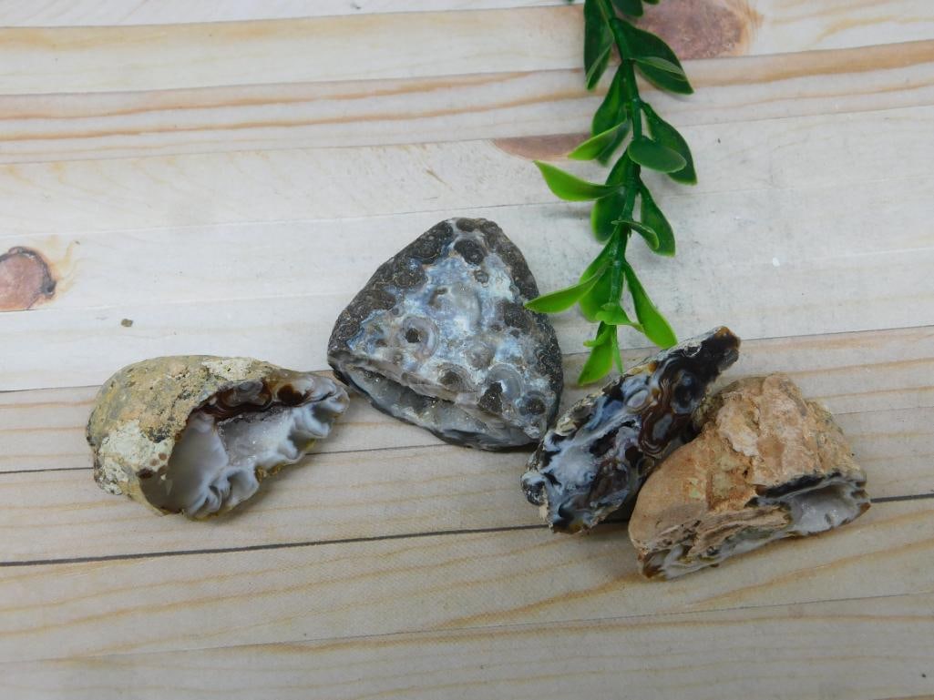 OCO GEODES ROCK STONE LAPIDARY SPECIMEN - 3