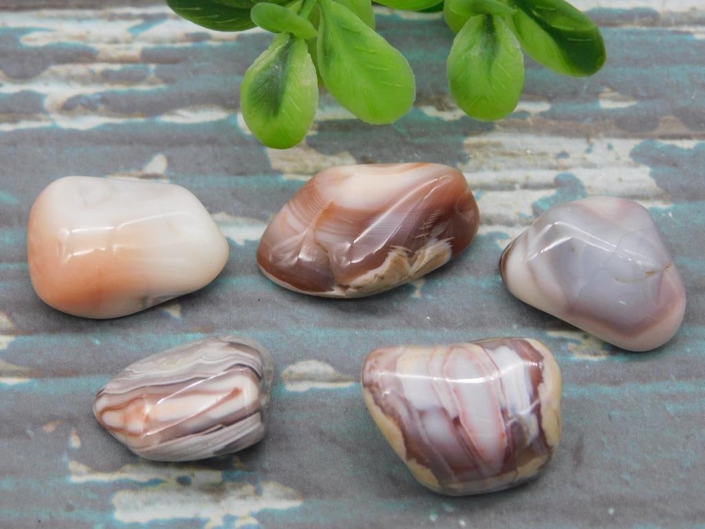 BOTSWANA AGATE ROCK STONE LAPIDARY SPECIMEN: Discover an extraordinary collection of natural wonders and estate treasures in Hatman's Auctions' Treasures of the Earth Online Auction! Browse turquoise, agate, jasper, petrified wood, quartz