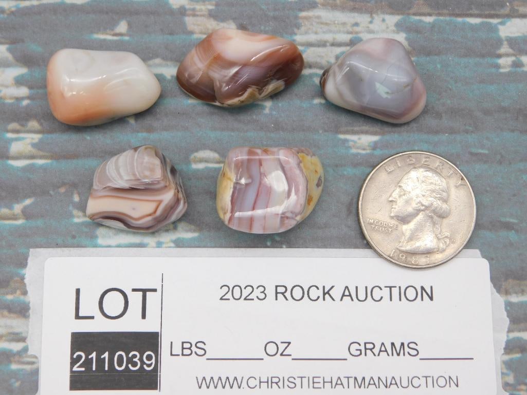 BOTSWANA AGATE ROCK STONE LAPIDARY SPECIMEN - 2